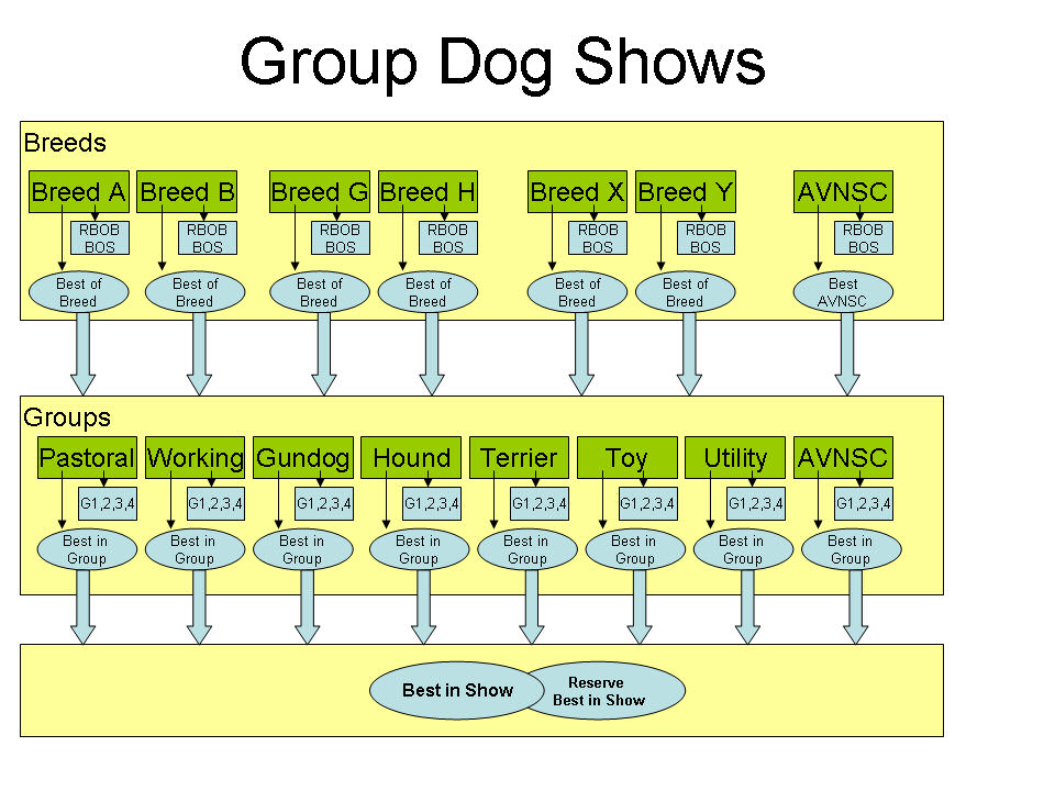 Dog Show Central UK - Show Terminology